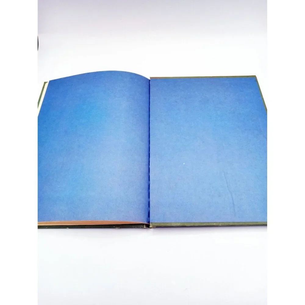 Emmet Otter’s Jug-Band Christmas HC Book 1971 Russell Hoban Lillian Hoban Henson - Picture 13 of 16